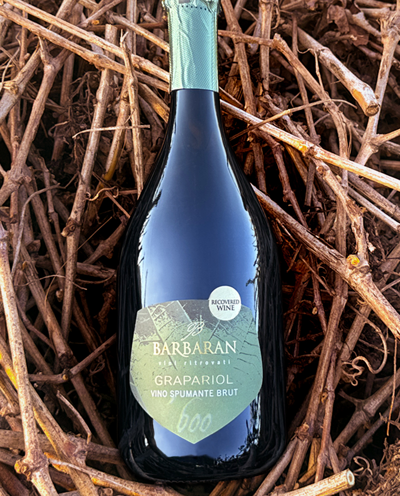 Grapariol spumante brut Barbaran