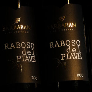 Raboso del Piave DOC - immagine 3