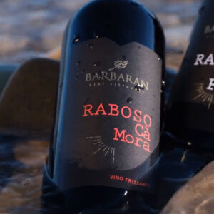 Raboso Ca' Mora IGT Marca Trevigiana - immagine 3