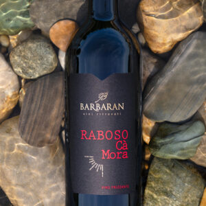 Raboso Ca' Mora IGT Marca Trevigiana